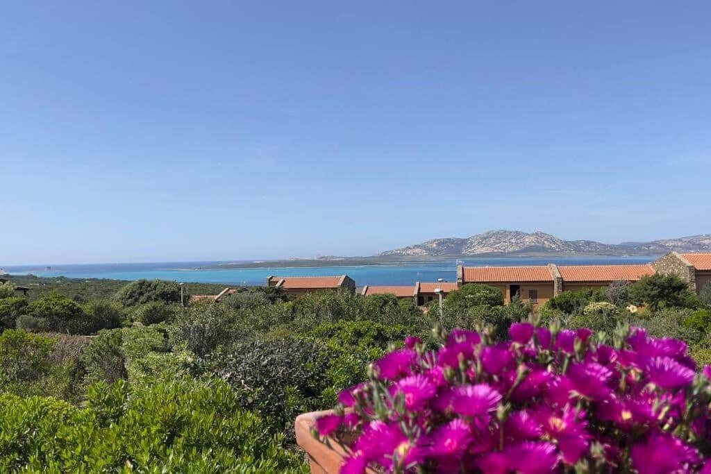 Appartement Terrazza Vista Mare Stintino Extérieur photo